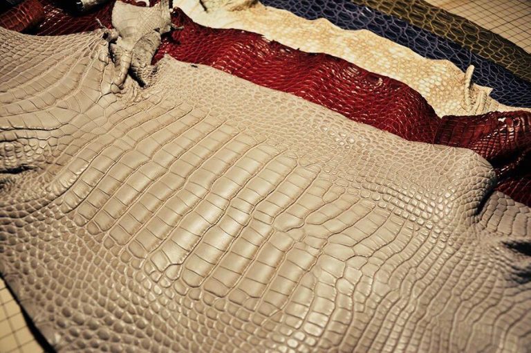 Comment distinguer la vraie peau de crocodile de la fausse en cinq étapes